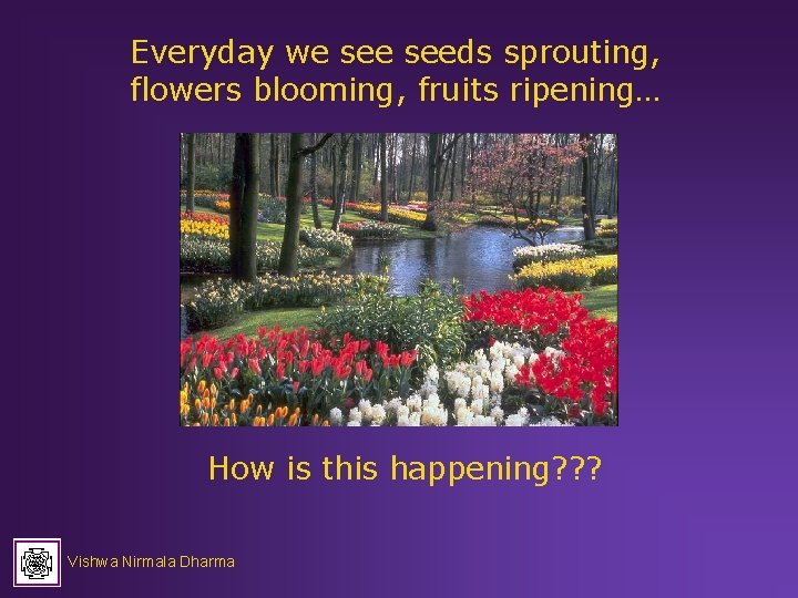 Everyday we seeds sprouting, flowers blooming, fruits ripening… How is this happening? ? ?