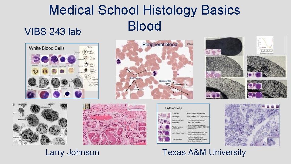 Medical School Histology Basics Blood VIBS 243 lab Larry Johnson Texas A&M University 