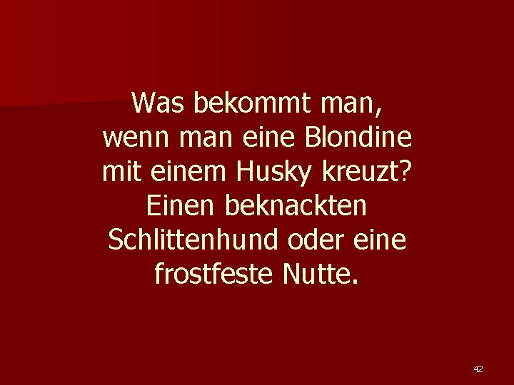 Was bekommt man, wenn man eine Blondine mit einem Husky kreuzt? Einen beknackten Schlittenhund