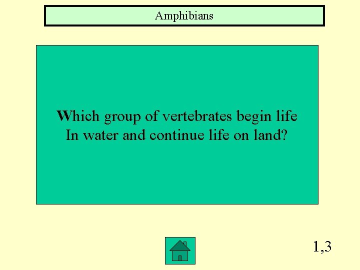 Amphibians Which group of vertebrates begin life In water and continue life on land?