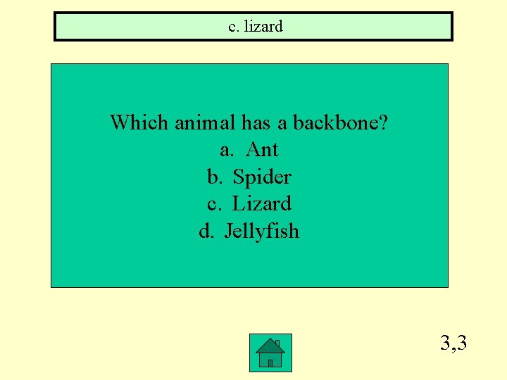 c. lizard Which animal has a backbone? a. Ant b. Spider c. Lizard d.
