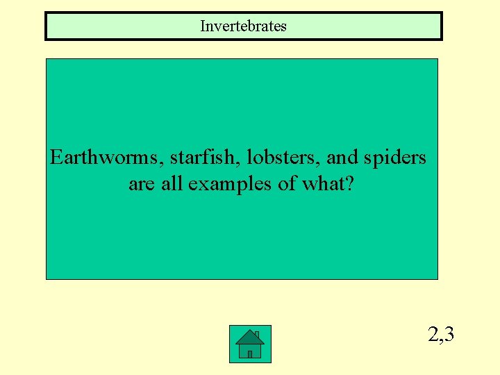 Invertebrates Earthworms, starfish, lobsters, and spiders are all examples of what? 2, 3 