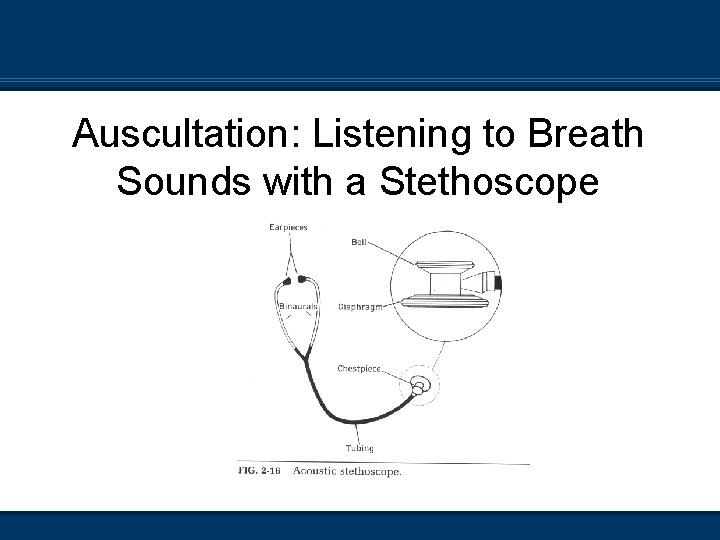 Auscultation: Listening to Breath Sounds with a Stethoscope 