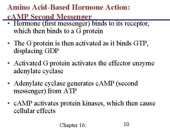 Amino Acid-Based Hormone Action: c. AMP Second Messenger ▪ Hormone (first messenger) binds to