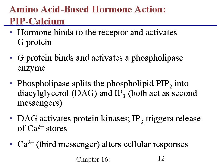 Amino Acid-Based Hormone Action: PIP-Calcium ▪ Hormone binds to the receptor and activates G