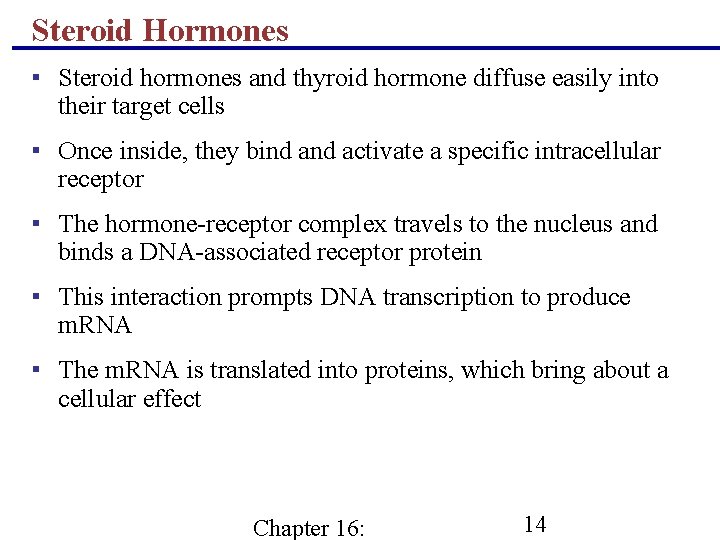 Steroid Hormones ▪ Steroid hormones and thyroid hormone diffuse easily into their target cells