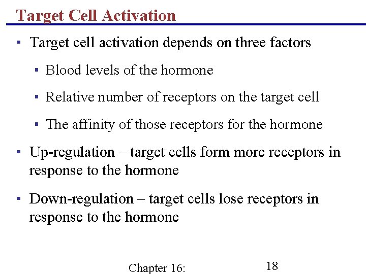Target Cell Activation ▪ Target cell activation depends on three factors ▪ Blood levels