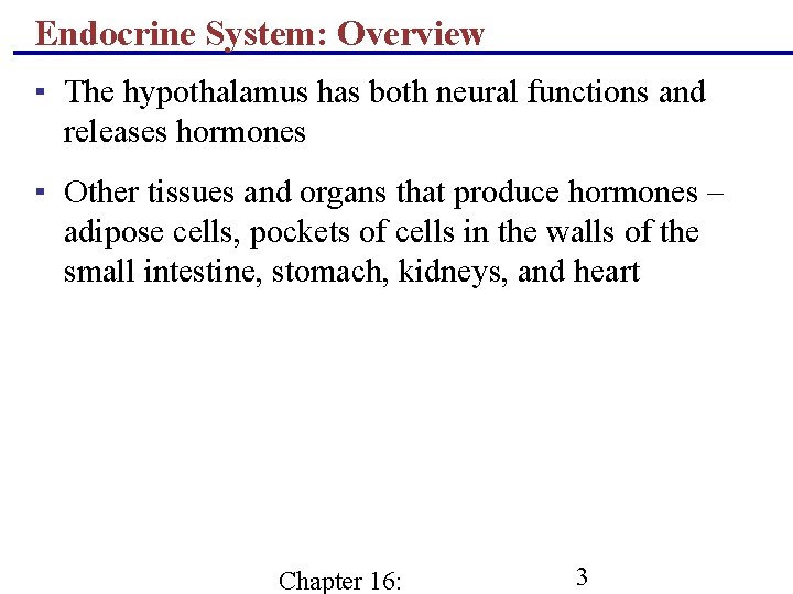 Endocrine System: Overview ▪ The hypothalamus has both neural functions and releases hormones ▪