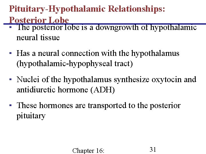 Pituitary-Hypothalamic Relationships: Posterior Lobe ▪ The posterior lobe is a downgrowth of hypothalamic neural