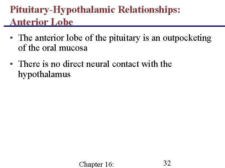 Pituitary-Hypothalamic Relationships: Anterior Lobe ▪ The anterior lobe of the pituitary is an outpocketing
