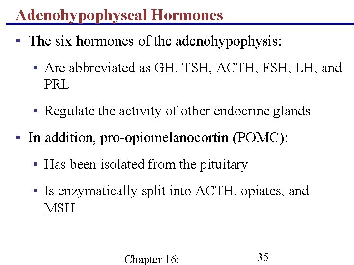 Adenohypophyseal Hormones ▪ The six hormones of the adenohypophysis: ▪ Are abbreviated as GH,