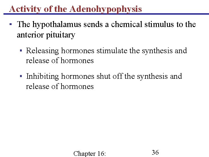 Activity of the Adenohypophysis ▪ The hypothalamus sends a chemical stimulus to the anterior