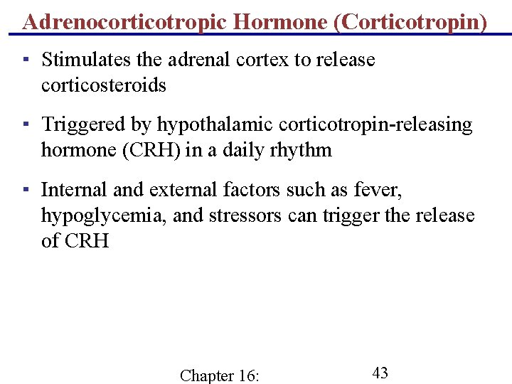 Adrenocorticotropic Hormone (Corticotropin) ▪ Stimulates the adrenal cortex to release corticosteroids ▪ Triggered by