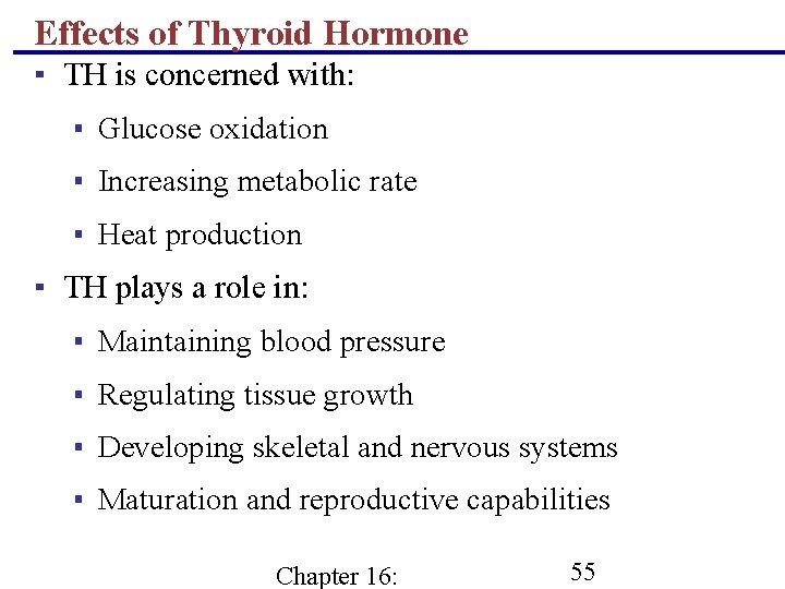 Effects of Thyroid Hormone ▪ TH is concerned with: ▪ Glucose oxidation ▪ Increasing