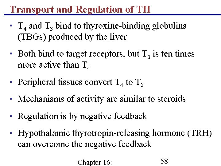 Transport and Regulation of TH ▪ T 4 and T 3 bind to thyroxine-binding