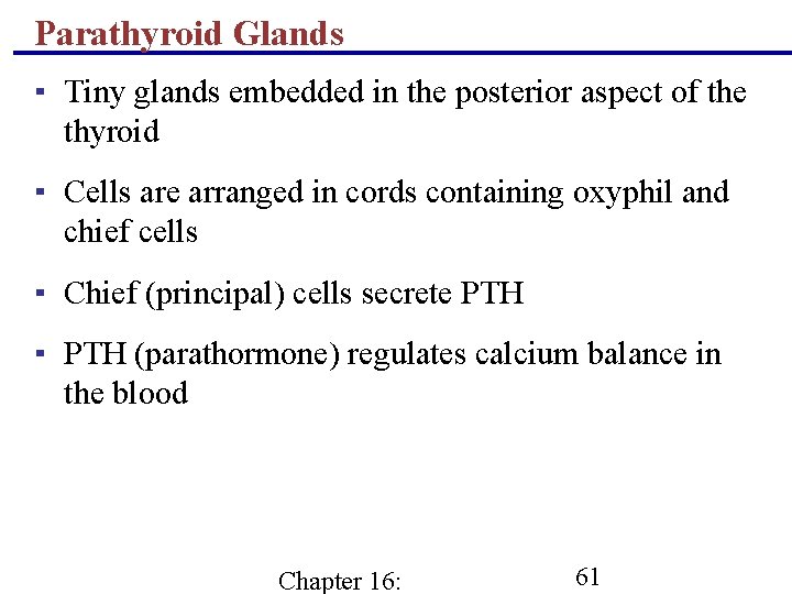 Parathyroid Glands ▪ Tiny glands embedded in the posterior aspect of the thyroid ▪