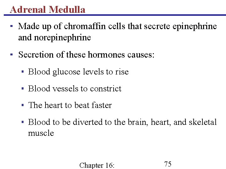 Adrenal Medulla ▪ Made up of chromaffin cells that secrete epinephrine and norepinephrine ▪