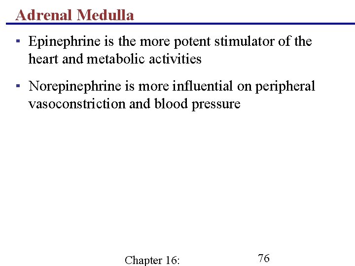 Adrenal Medulla ▪ Epinephrine is the more potent stimulator of the heart and metabolic