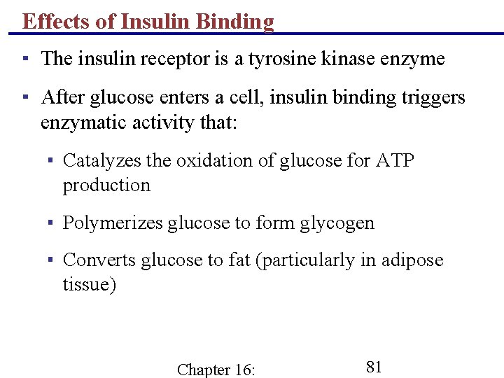 Effects of Insulin Binding ▪ The insulin receptor is a tyrosine kinase enzyme ▪