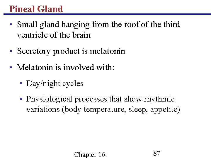 Pineal Gland ▪ Small gland hanging from the roof of the third ventricle of