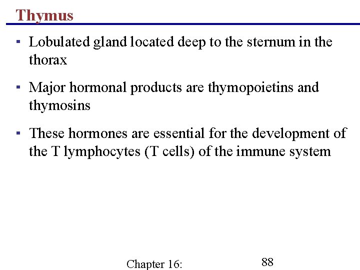 Thymus ▪ Lobulated gland located deep to the sternum in the thorax ▪ Major