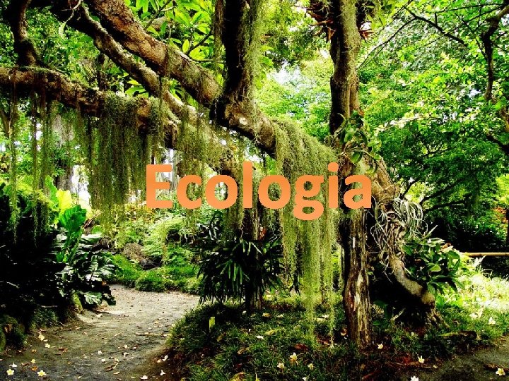 Ecologia 