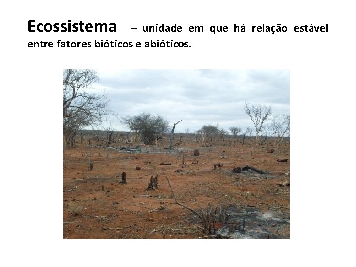 Ecossistema – unidade em que há relação estável entre fatores bióticos e abióticos. 