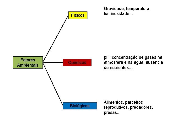 Físicos Fatores Ambientais Químicos Biológicos Gravidade, temperatura, luminosidade. . . p. H, concentração de