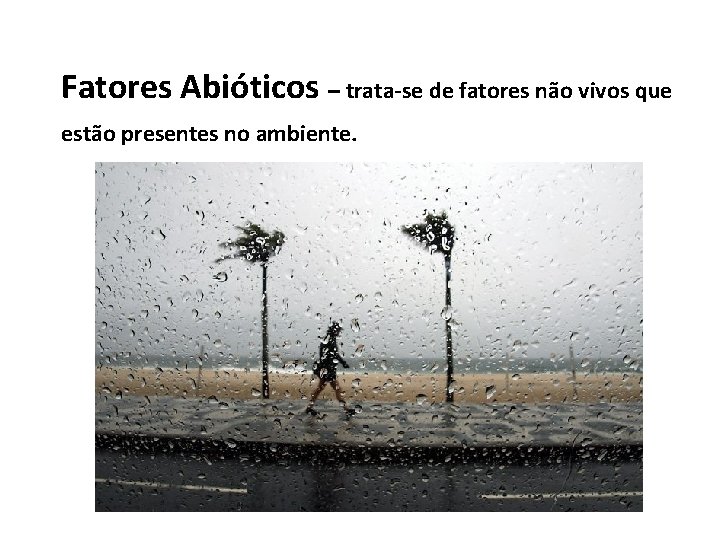 Fatores Abióticos – trata-se de fatores não vivos que estão presentes no ambiente. 