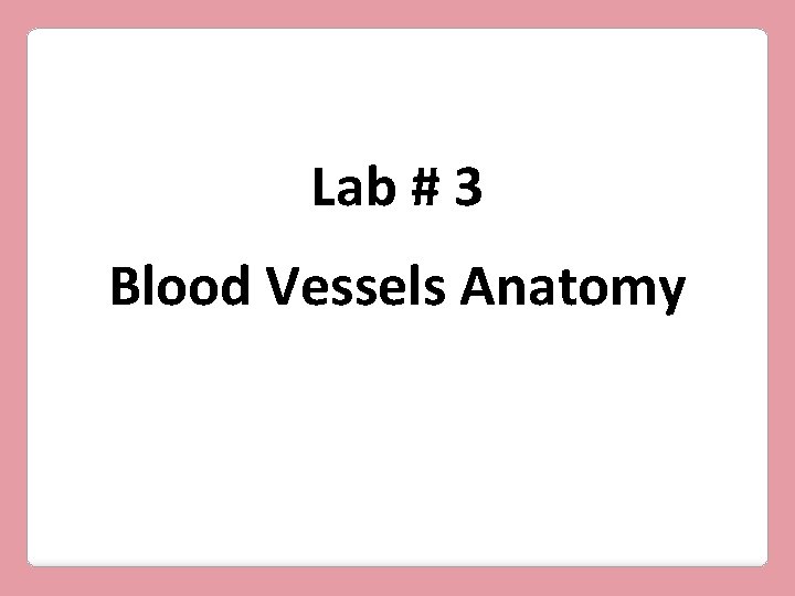Lab # 3 Blood Vessels Anatomy 