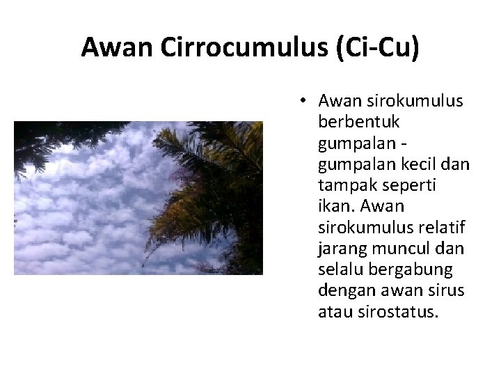 Awan Cirrocumulus (Ci-Cu) • Awan sirokumulus berbentuk gumpalan kecil dan tampak seperti ikan. Awan