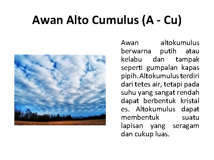 Awan Alto Cumulus (A - Cu) Awan altokumulus berwarna putih atau kelabu dan tampak