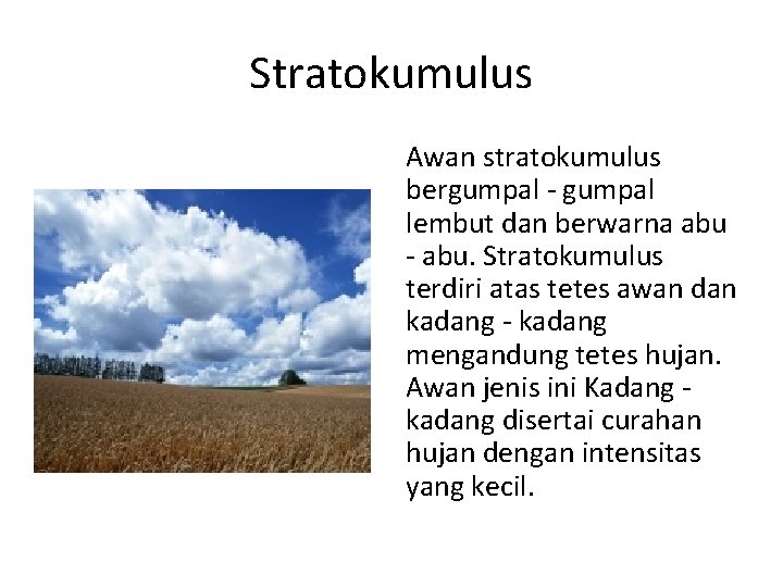 Stratokumulus Awan stratokumulus bergumpal - gumpal lembut dan berwarna abu - abu. Stratokumulus terdiri