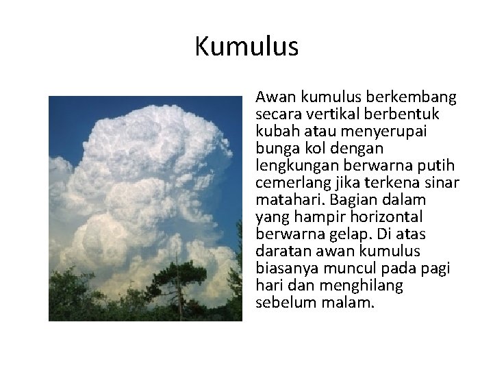 Kumulus Awan kumulus berkembang secara vertikal berbentuk kubah atau menyerupai bunga kol dengan lengkungan