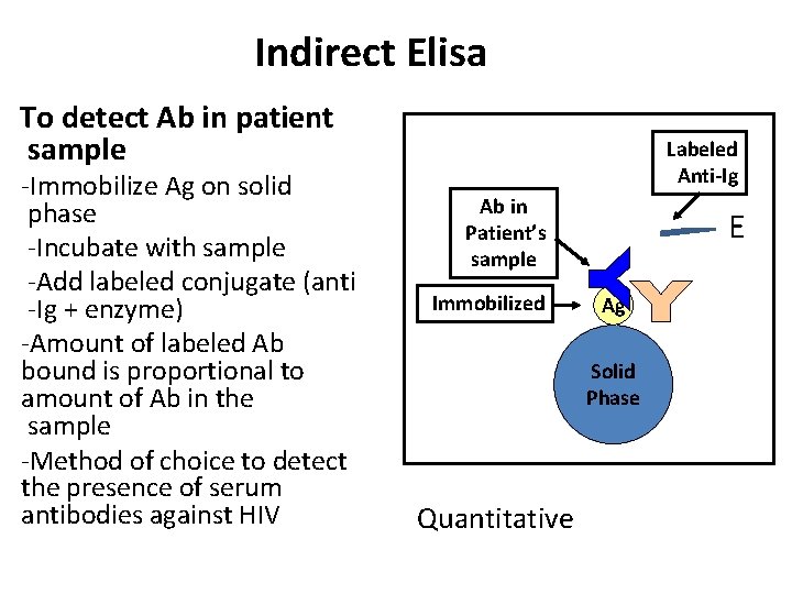 EnzymeLinked Immunosorbent Assay Principle Types ELISA Principle Labeling