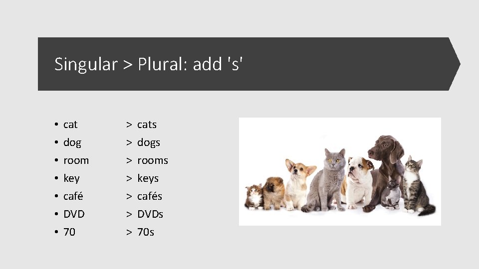 Singular > Plural: add 's' • • cat dog room key café DVD 70