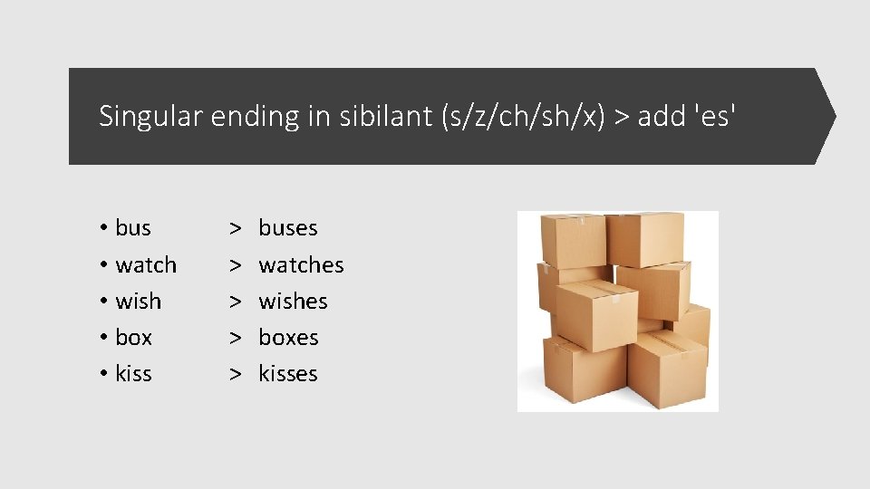 Singular ending in sibilant (s/z/ch/sh/x) > add 'es' • bus • watch • wish