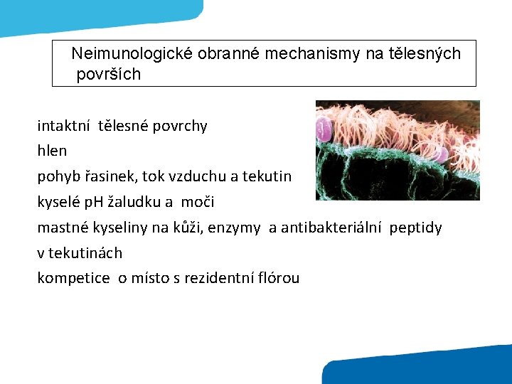 Neimunologické obranné mechanismy na tělesných površích intaktní tělesné povrchy hlen pohyb řasinek, tok vzduchu