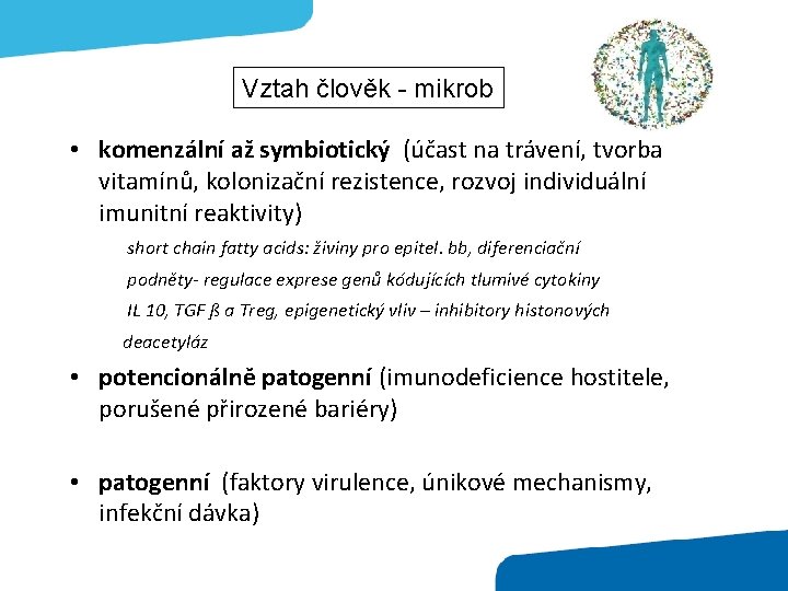 Vztah člověk - mikrob • komenzální až symbiotický (účast na trávení, tvorba vitamínů, kolonizační