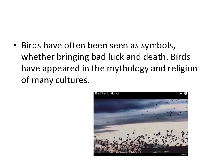  • Birds have often been seen as symbols, whether bringing bad luck and