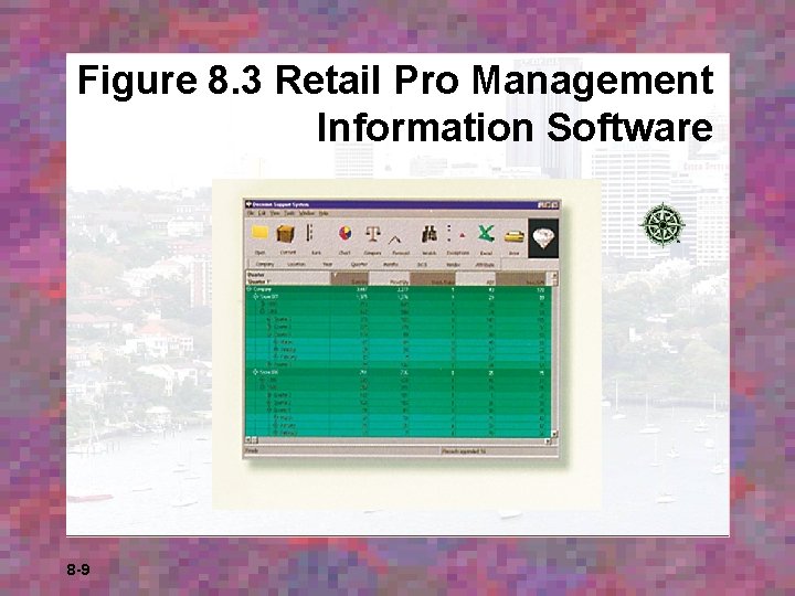 Figure 8. 3 Retail Pro Management Information Software 8 -9 Figure 8. 3 Retail Pro Management Information Software 8 -9