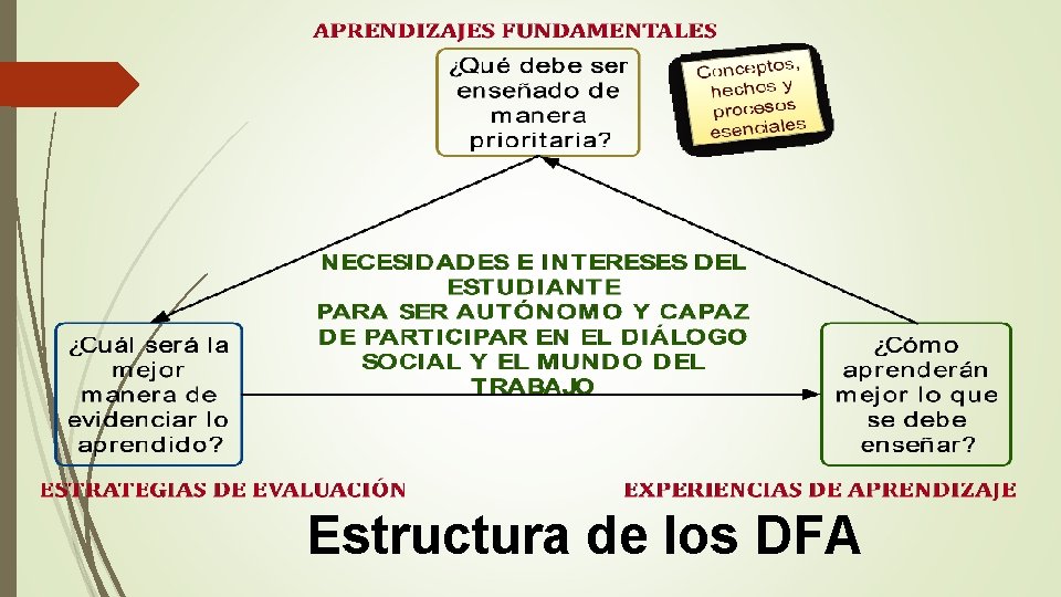 Estructura de los DFA 
