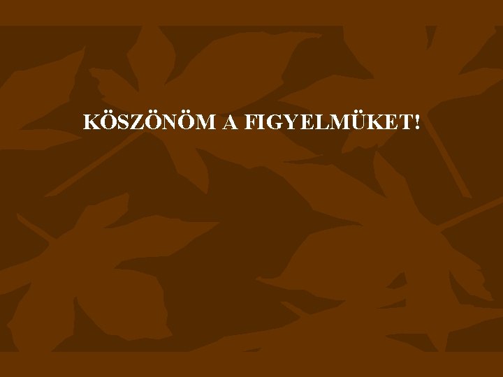 KÖSZÖNÖM A FIGYELMÜKET! 