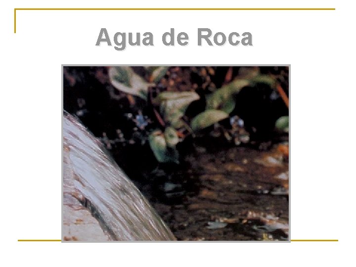 Agua de Roca 