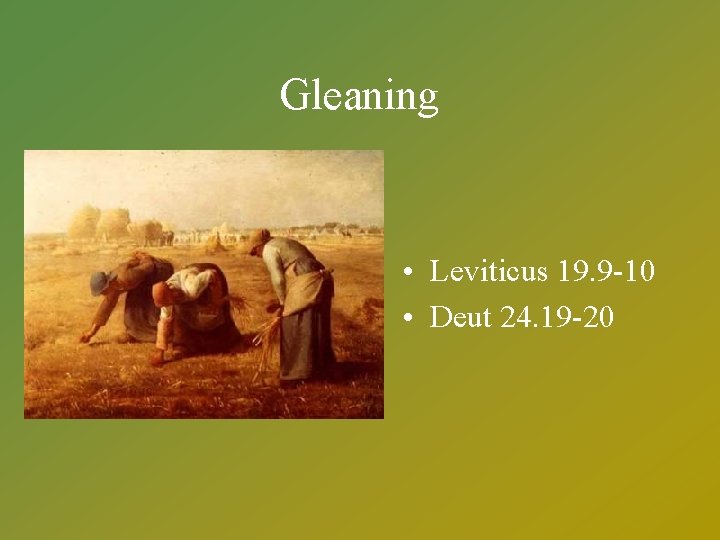 Gleaning • Leviticus 19. 9 -10 • Deut 24. 19 -20 