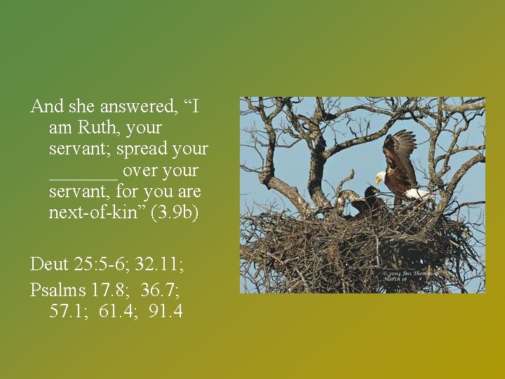 And she answered, “I am Ruth, your servant; spread your _______ over your servant,