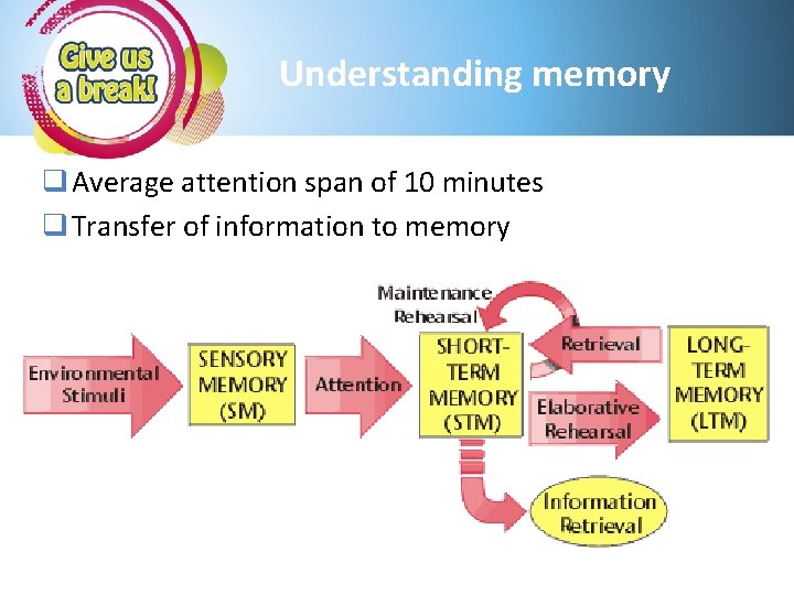 Understanding memory q Average attention span of 10 minutes q Transfer of information to