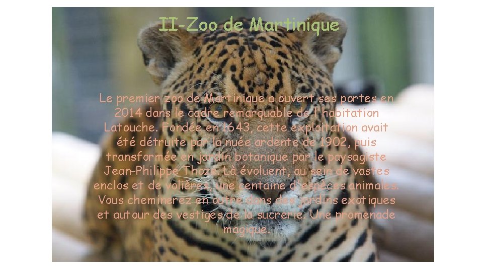 II-Zoo de Martinique Le premier zoo de Martinique a ouvert ses portes en 2014