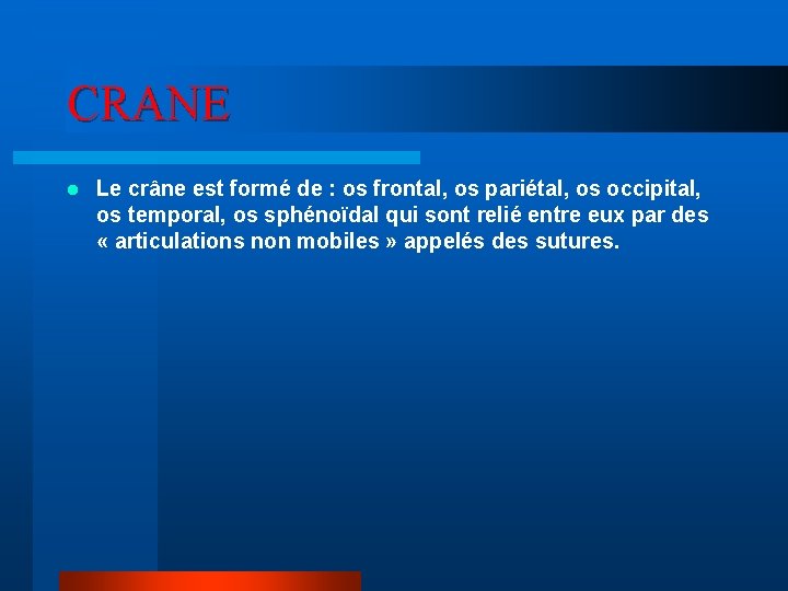 CRANE l Le crâne est formé de : os frontal, os pariétal, os occipital,