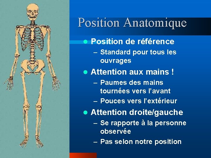 Position Anatomique l Position de référence – Standard pour tous les ouvrages l Attention